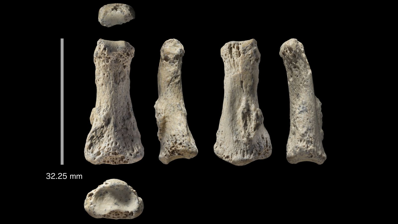 Telediario 1: Los primeros Homo sapiens llegaron a Arabia, más lejos de lo que se pensaba | RTVE Play