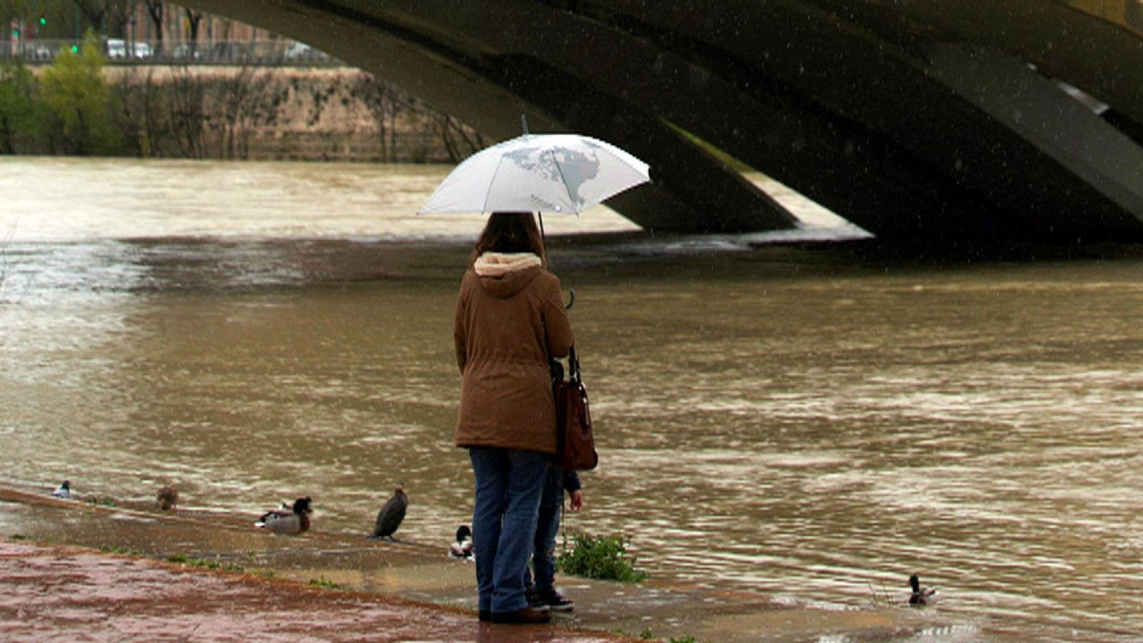 Precipitaciones localmente fuertes y/o persistentes en el País Vasco, norte de Navarra y sur de Andalucía