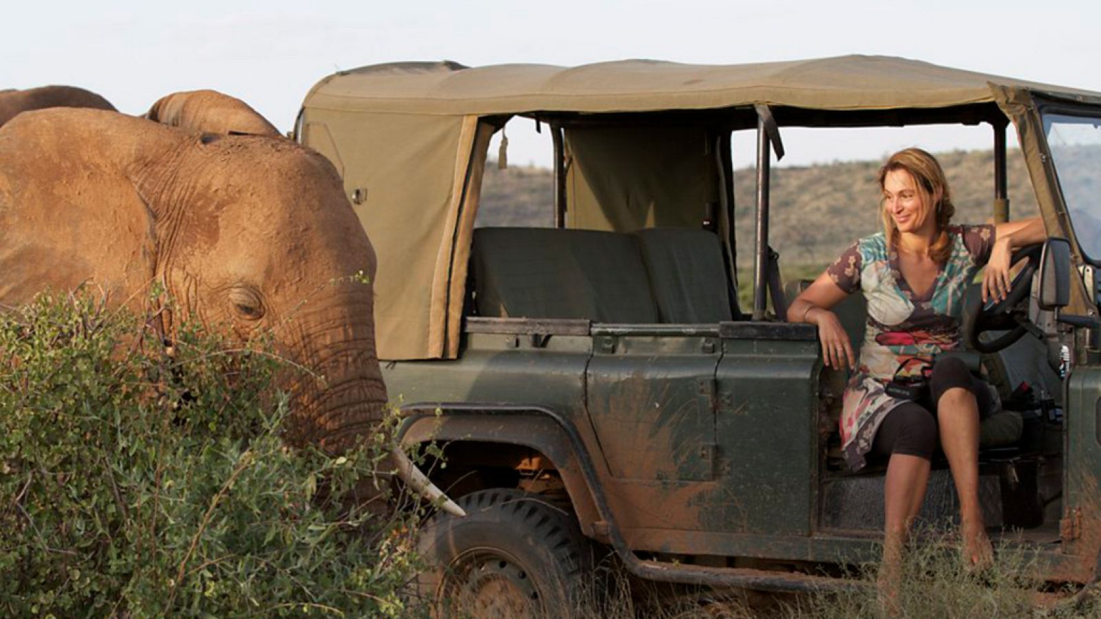 Otros documentales - Esta vida salvaje, capítulo 12 - ver ahora