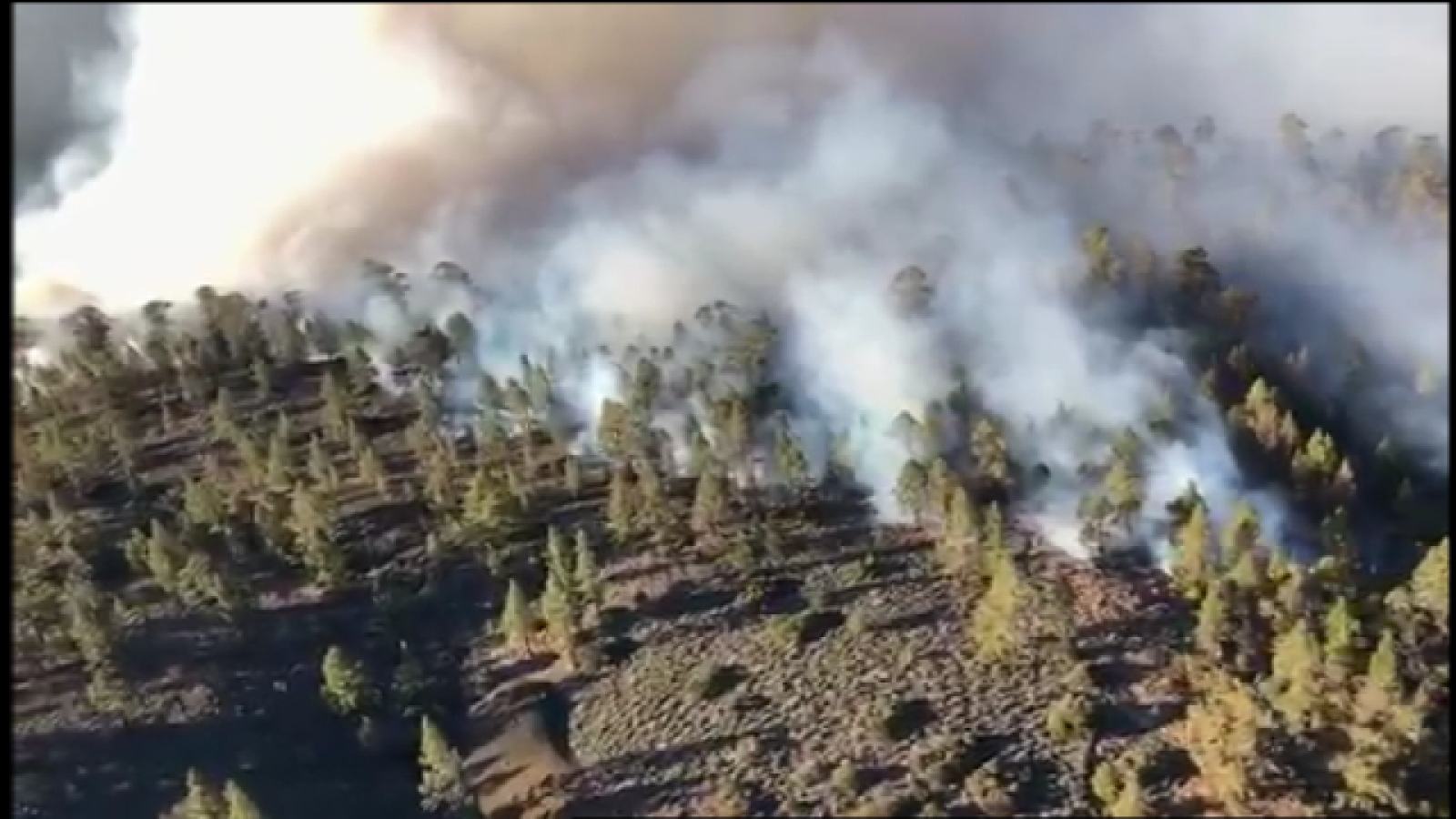 Telecanarias 2 - 10/04/2018