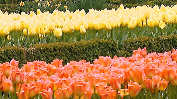 Informativo de Madrid - Informativo de Madrid 2 - 12/04/18