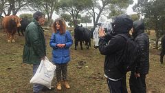 Aquí la tierra - Vacas contra los incendios