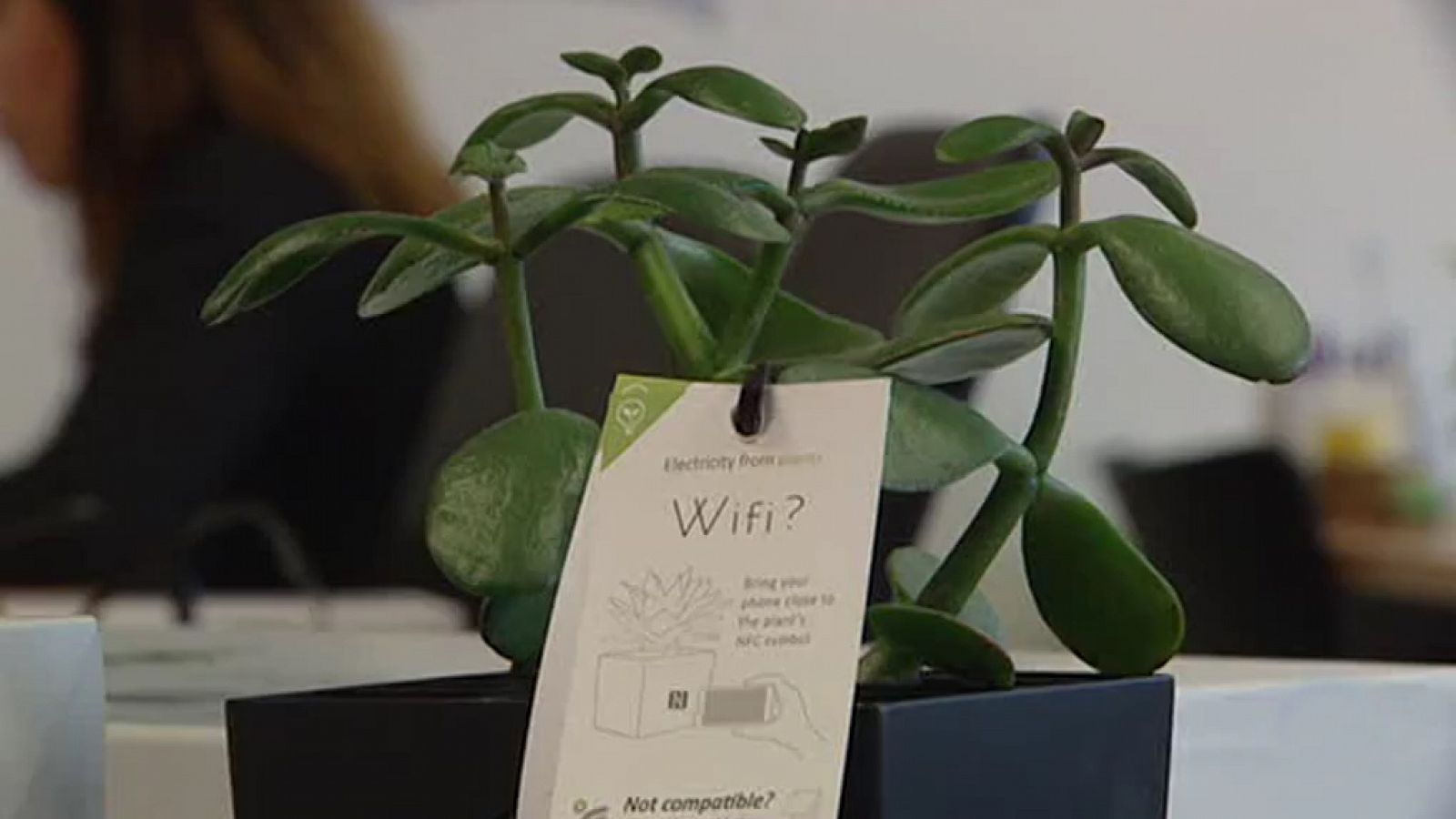 Telediario 1: Un ingeniero de 22 años desarrolla sistemas de electricidad y wifi a través de las plantas | RTVE Play