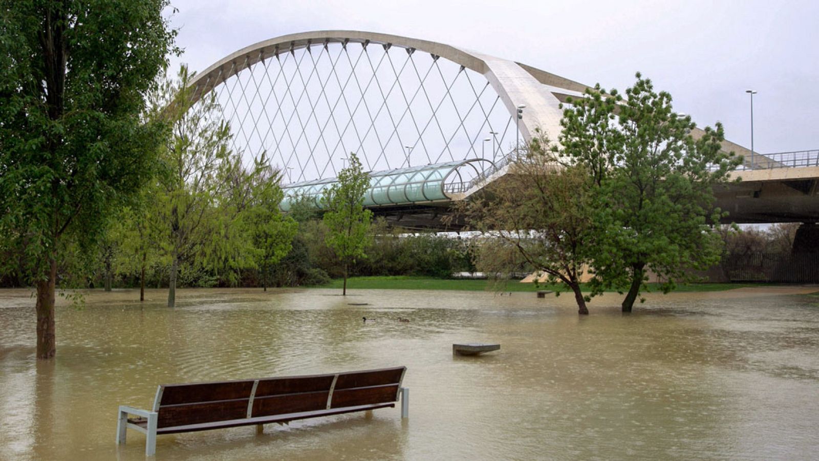 Probabilidad de precipitaciones fuertes en localidades de Cadiz, Málaga y Cataluña.