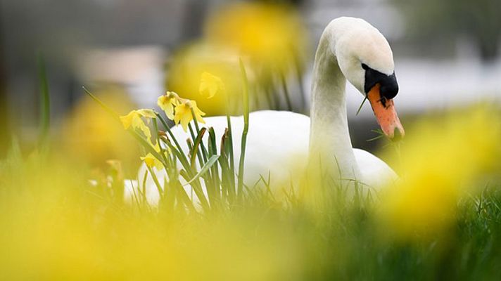Informativo de Madrid - El Tiempo en la Comunidad de Madrid - 13/04/18
