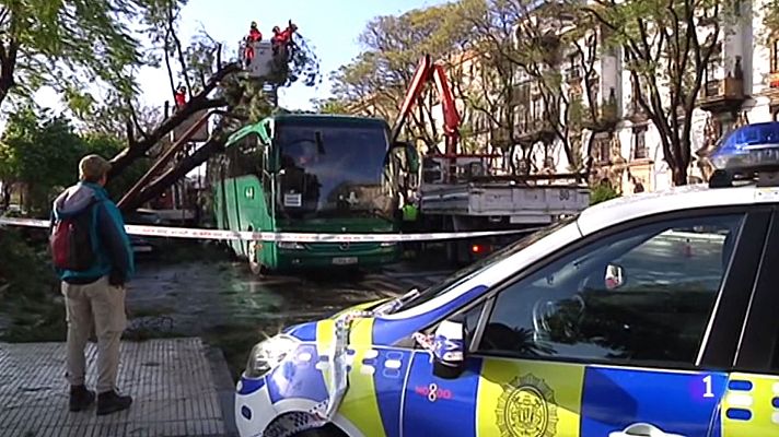 Telediario 1 - Sevilla registra un fuerte vendaval que provoca numerosos daños materiales