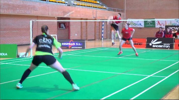 Bádminton - Liga Nacional División de Honor 2017/2018. Resumen