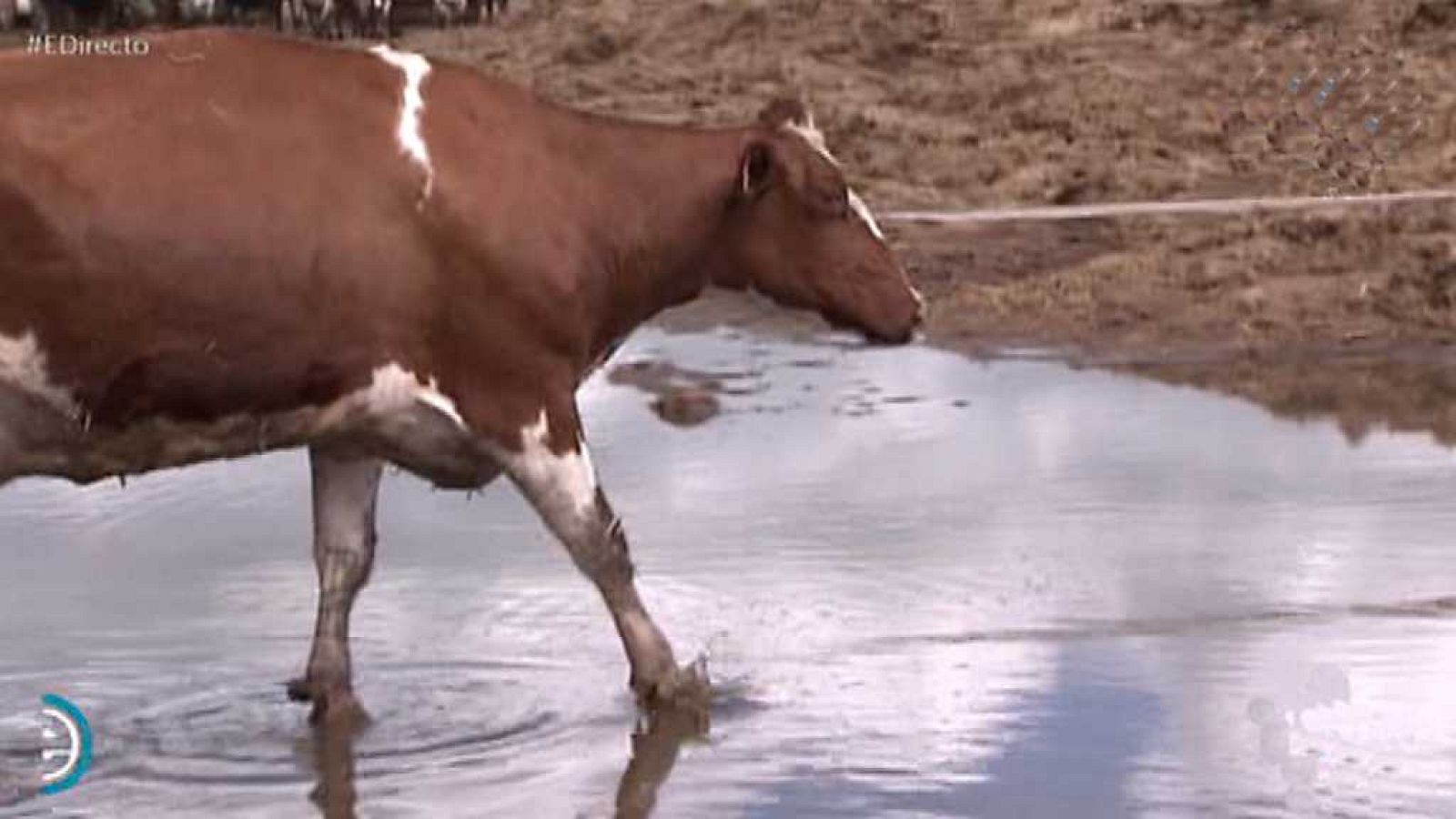 España Directo - 13/04/18 - ver ahora