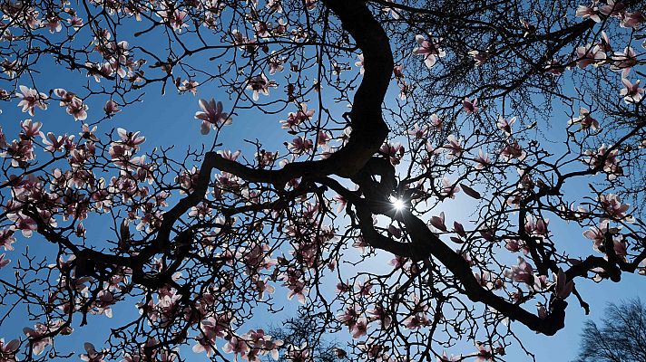 El tiempo - Un fin de semana más estable