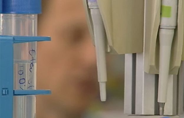 Ciencia y tecnología en Rtve.es - Prueba de paternidad