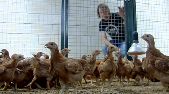 Espacio Empresa - Espacio Empresa - 14/04/18