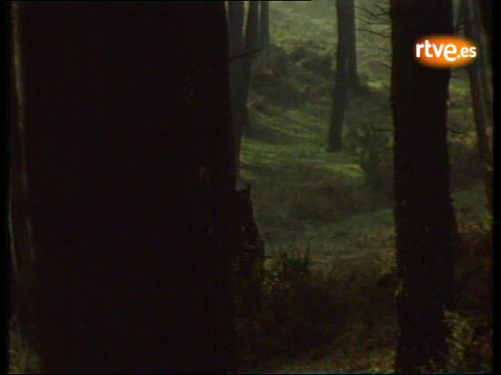 Entrevista a Gonzalo Suárez  en el programa Fila Siete