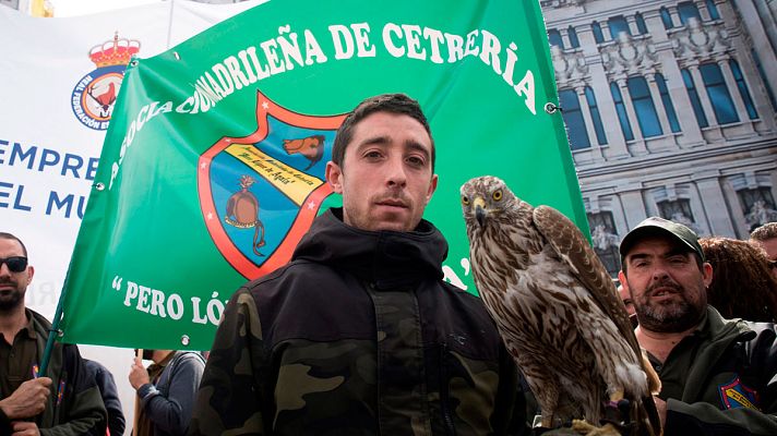 Telediario 1 - Miles de cazadores piden castigar los delitos de odio en Internet contra ellos