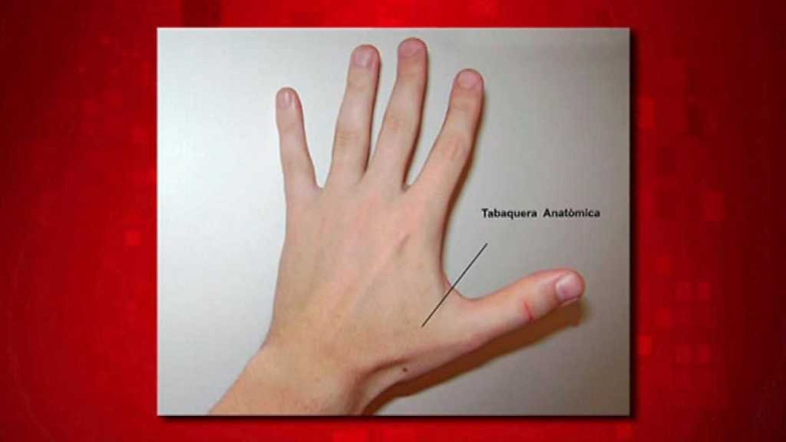 Saber y ganar. Edición fin de semana - 15/04/18 - ver ahora