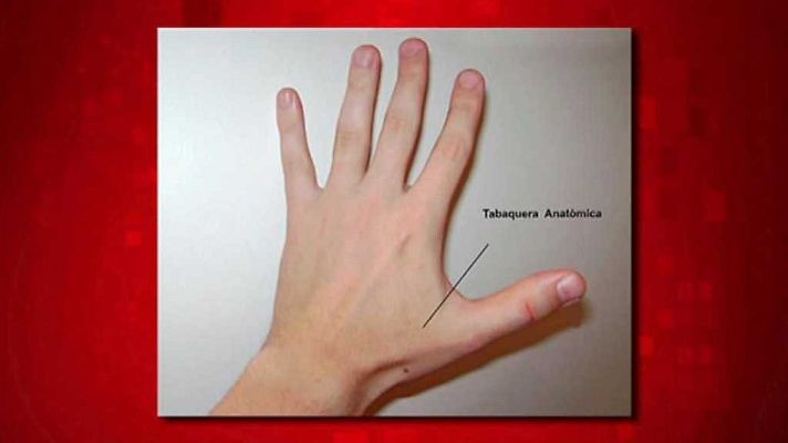 Saber y ganar - Saber y ganar. Edición fin de semana - 15/04/18