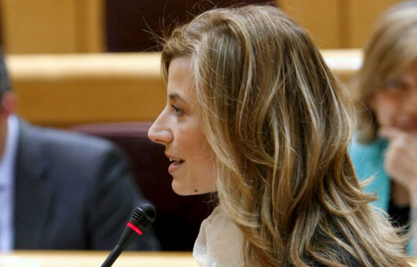 Bibiana Aído declara que va a suprimir las referencias discriminatorias que tiene la actual ley del aborto | Ver