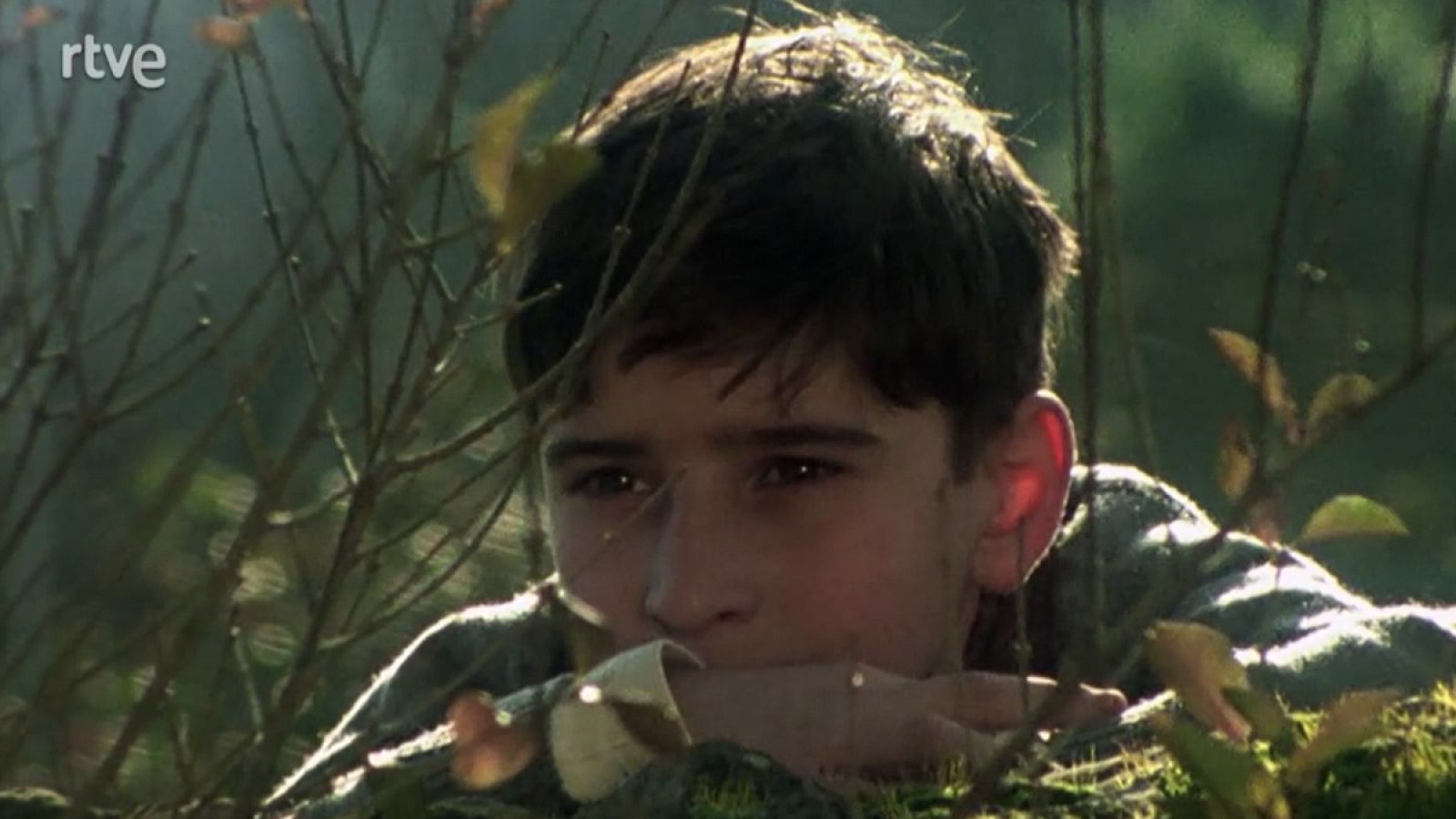 El camino - Capítulo 2 - El camino | Ver