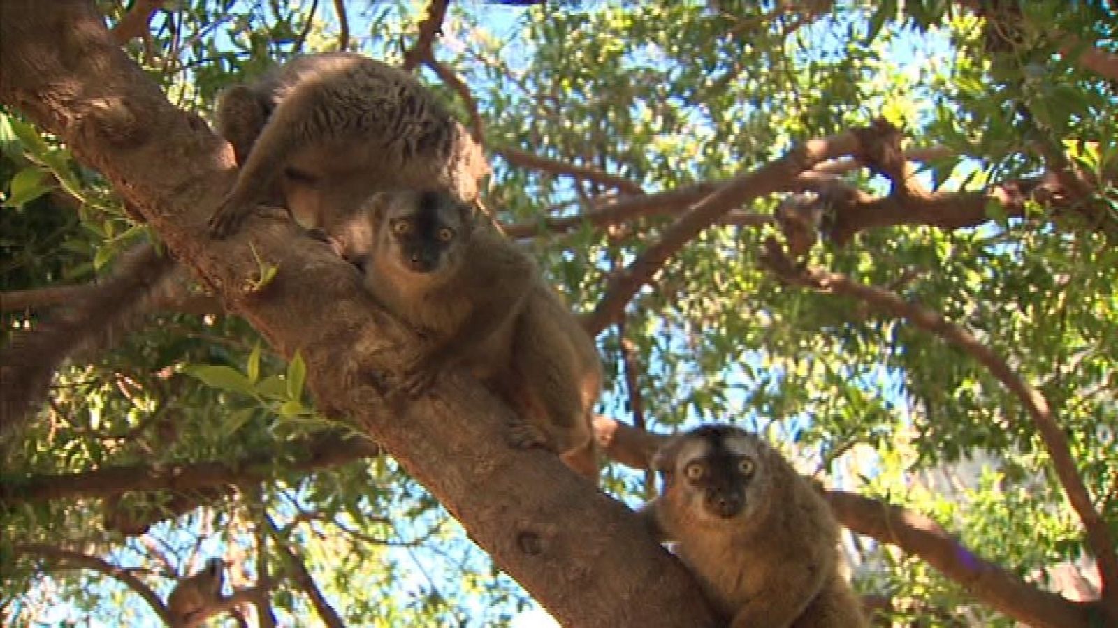 La Comunidad Valenciana en 2' - 17/04/18 - ver ahora