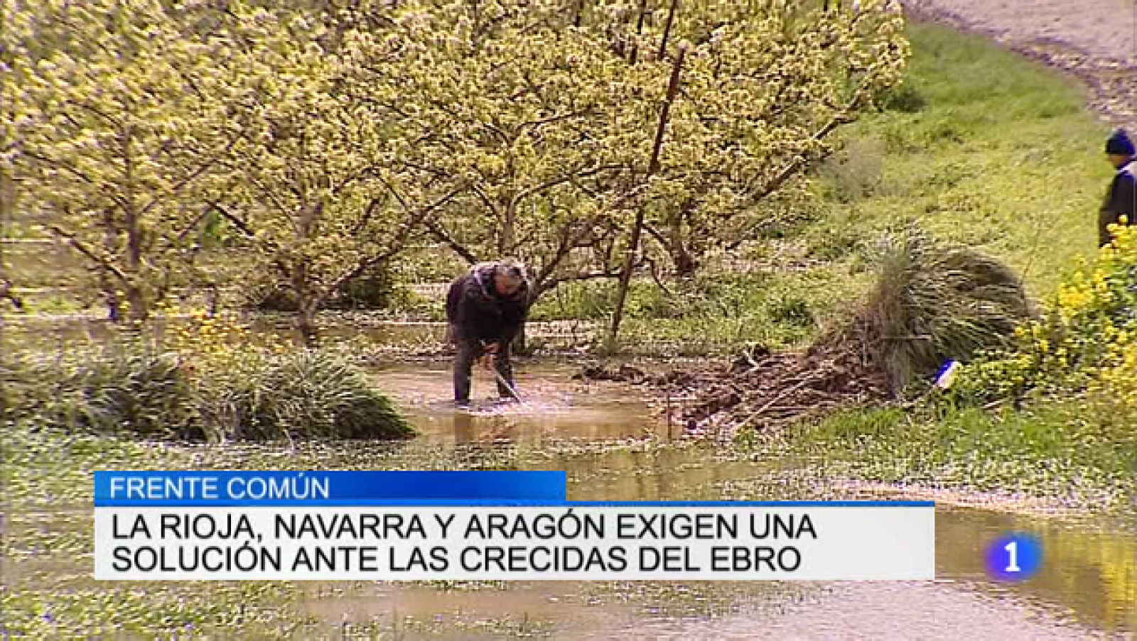 Telerioja en 2' - 17/04/18