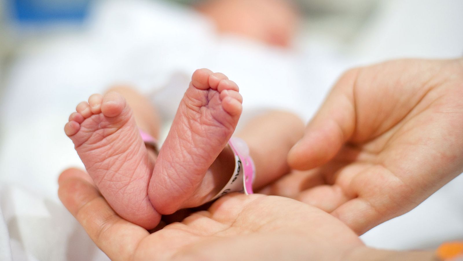 Una mujer reconocida como "bebé robado" pide al Parlamento vasco ayuda para casos como el suyo