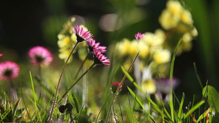 El tiempo - Predominio de cielos poco nubosos o despejados y tiempo estable en todo el país