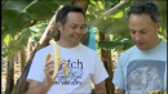 Telecanarias - Telecanarias 2 - 17/04/2018