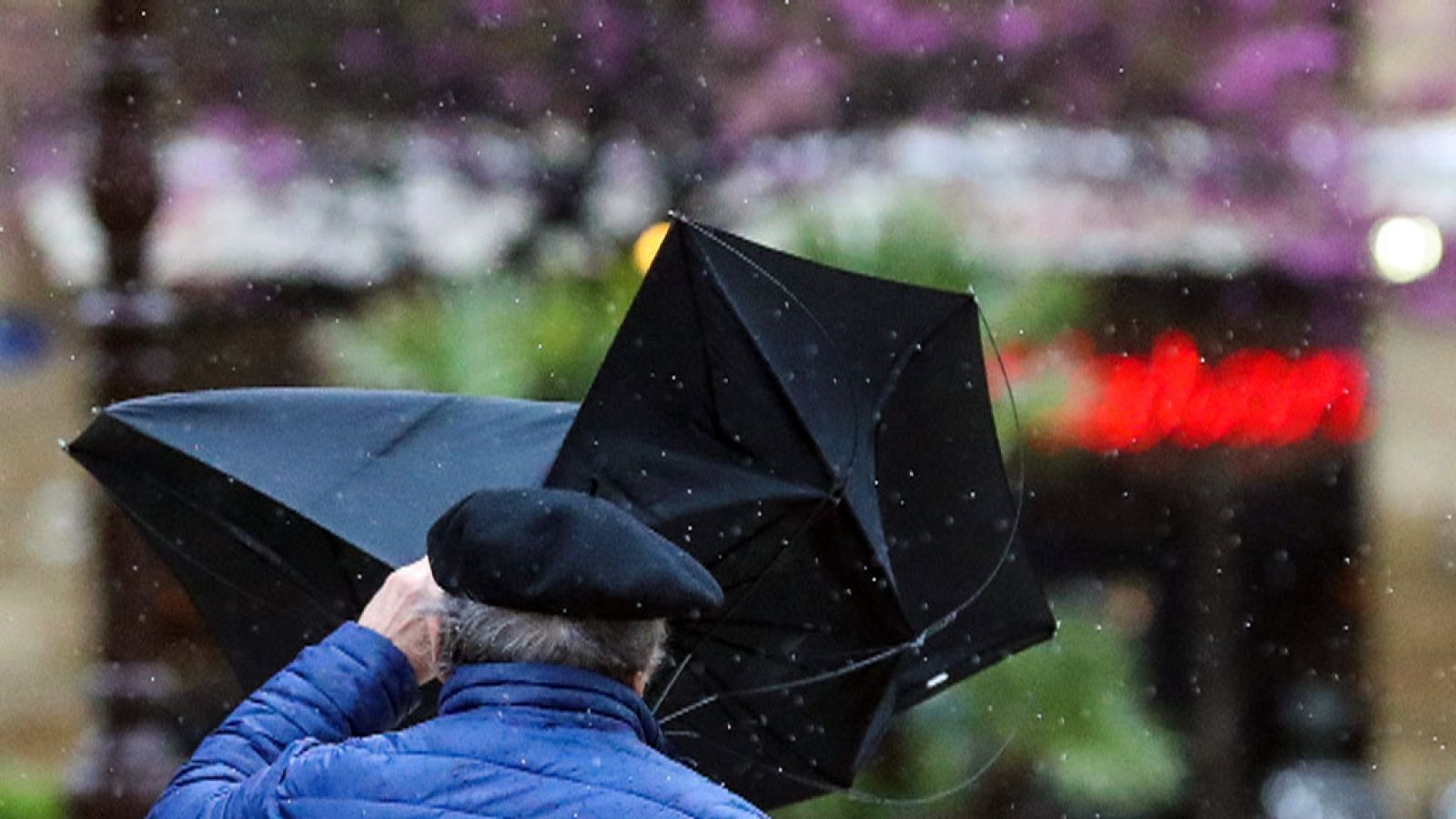 Vientos fuertes de levante con rachas muy fuertes en el área del Estrecho e interior de Cádiz