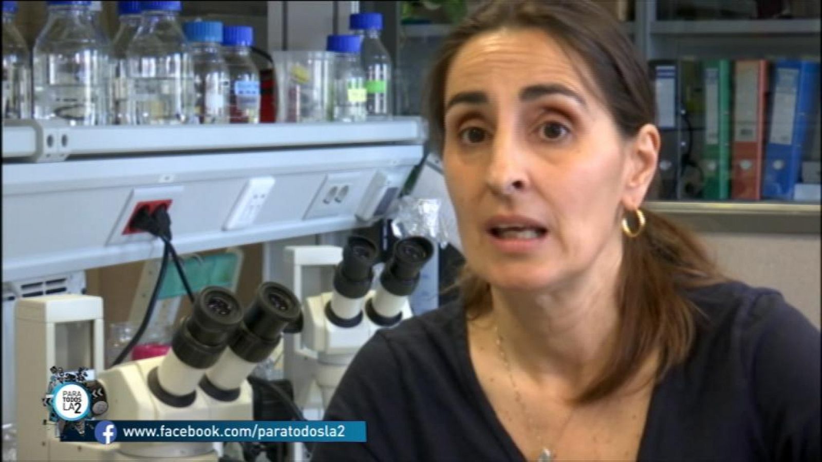 Para todos La 2:  Un gusano tiene la capacidad de biodegradar el polietileno | RTVE Play