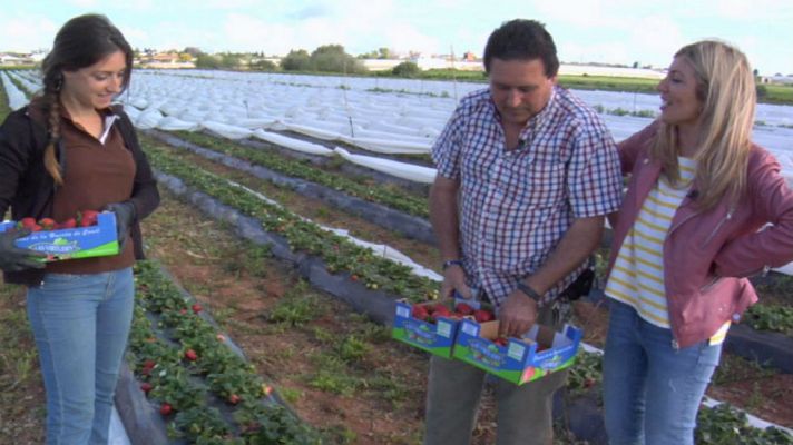Aquí la Tierra - Los fresones, a subasta