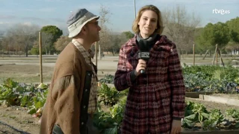 Jose Mota presenta - Germinaci�n subrogada