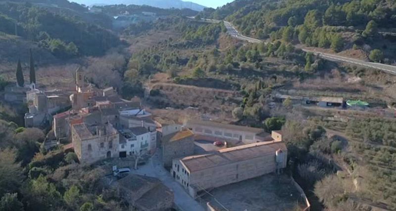 El escarabajo verde - tierra herida