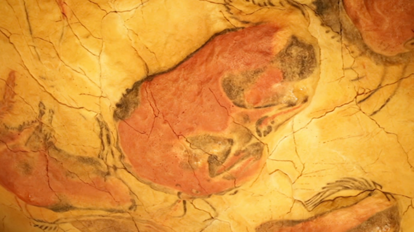 Arqueomanía - Altamira - ver ahora