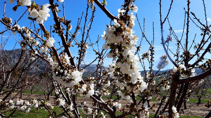 El tiempo - Los termómetros rozarán los 30 grados y cinco provincias estarán en alerta por lluvia, oleaje o viento