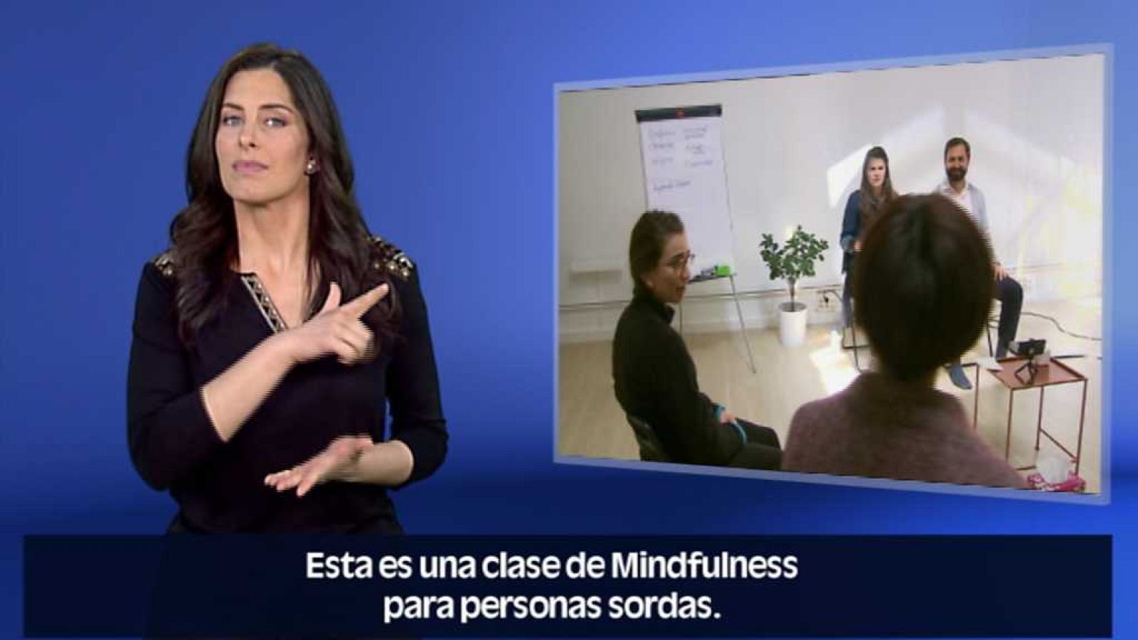 En lengua de signos - 22/04/18 - ver ahora