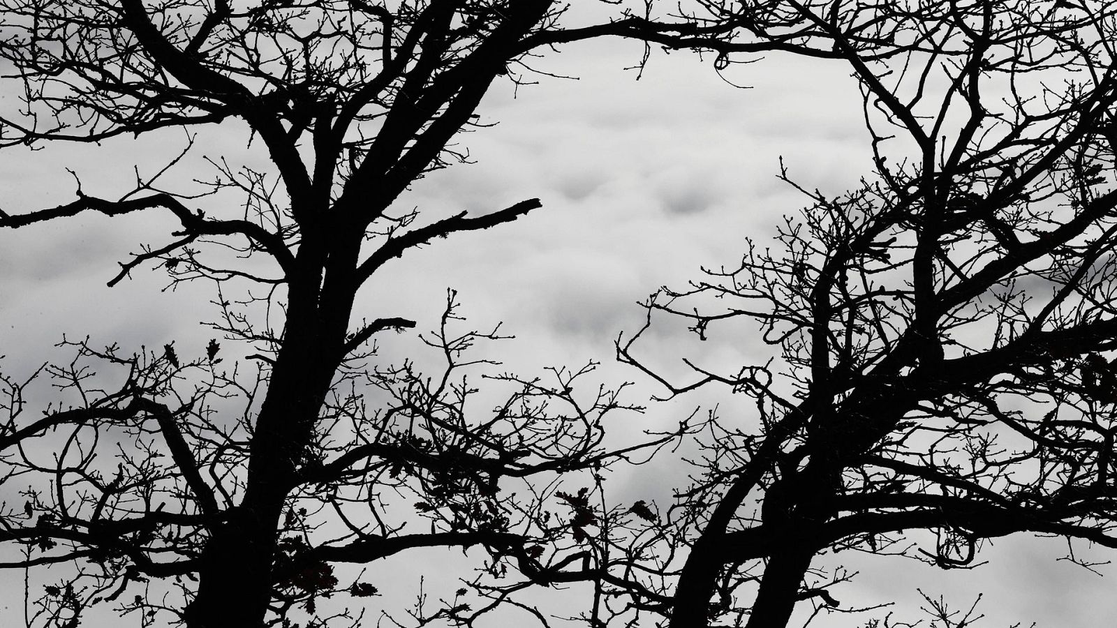 El Tiempo en la Comunidad de Madrid - 23/04/18