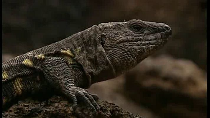 La España sumergida - El Hierro