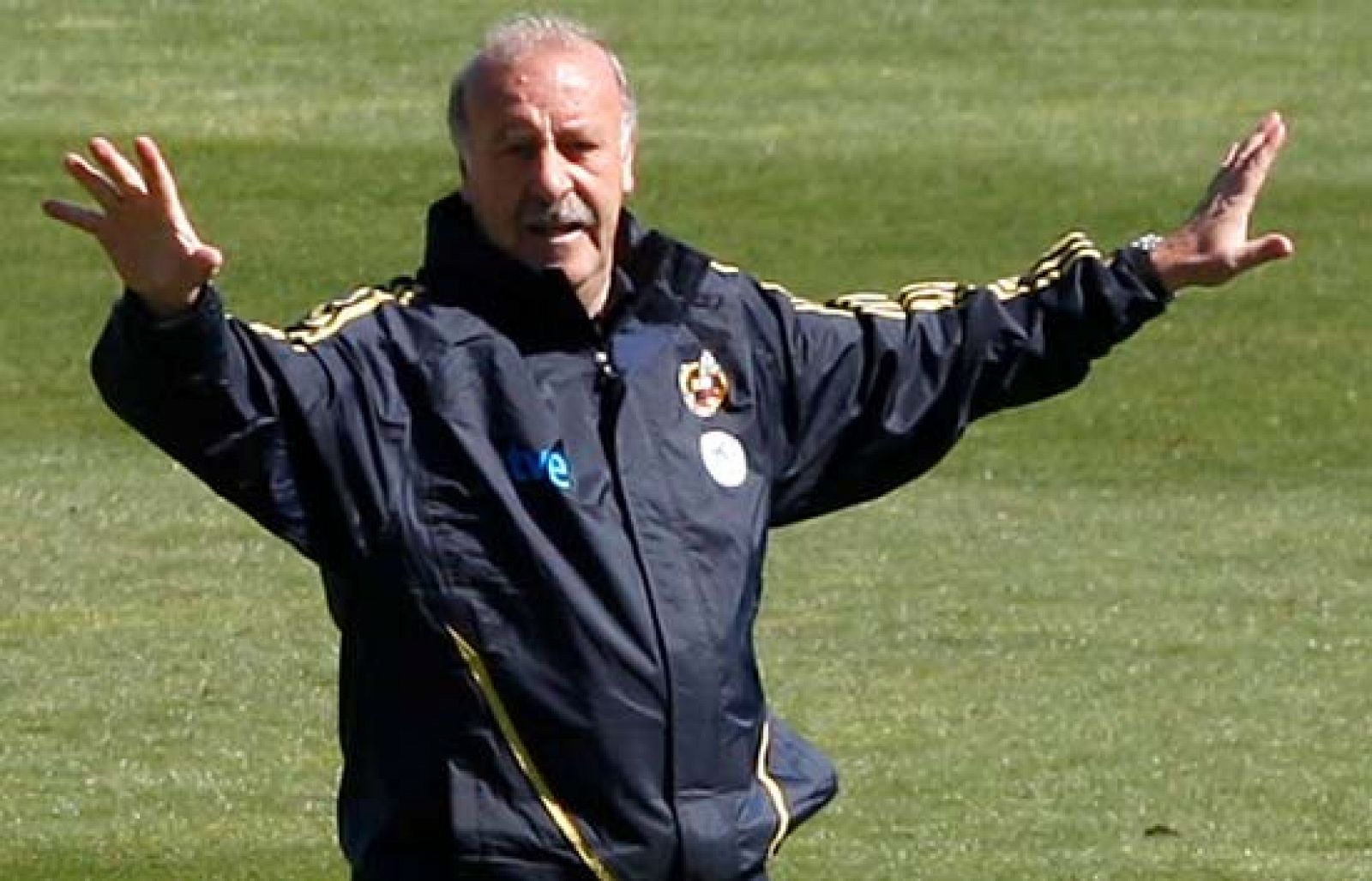 Vicente del Bosque  empieza con las probaturas para suplir las bajas de Iniesta y Puyol. En las primeras sesiones parace apostar por Albiol y Piqué en la zaga y Silva y Riera en los laterales. 