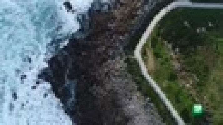 MasterChef - Tensión y lágrimas en el segundo programa de MasterChef 6