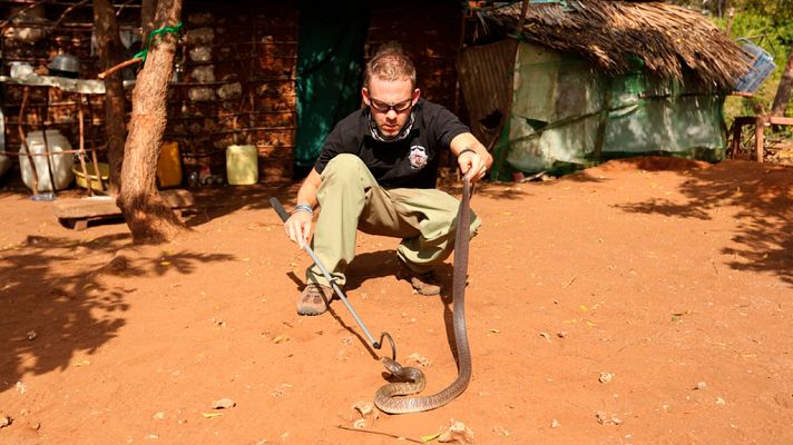 Criaturas salvajes con Dominic Monaghan: cobra escupidora