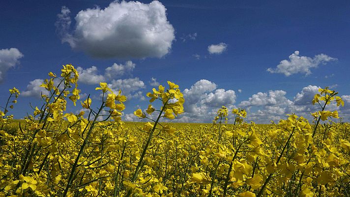 Informativo de Madrid - El Tiempo en la Comunidad de Madrid - 26/04/18