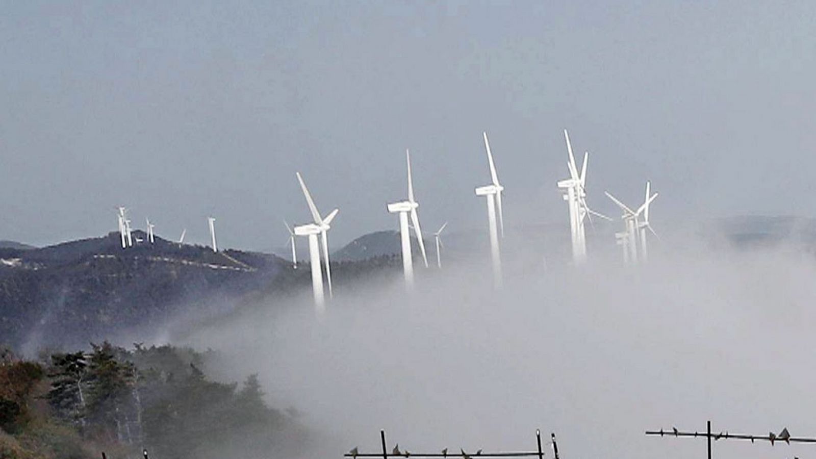 El tiempo: Posibilidad de chubascos o tormentas fuertes en el interior del tercio oriental de la Península | RTVE Play