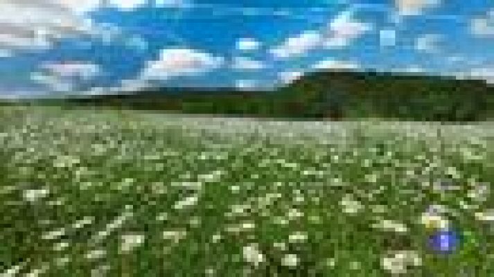 TeleCantabria - El tiempo en Cantabria - 27/04/18