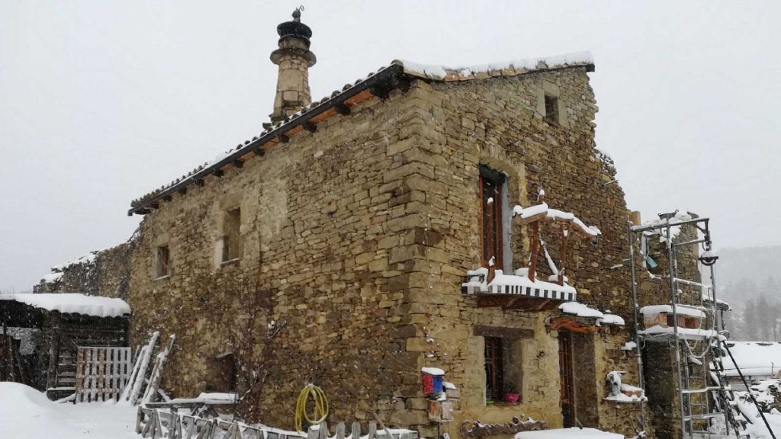 El escarabajo verde - Pueblos en peligro de extinción - ver ahora