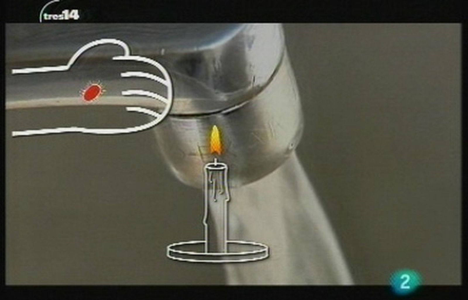 Curiosidades de la semana (Corazón) 