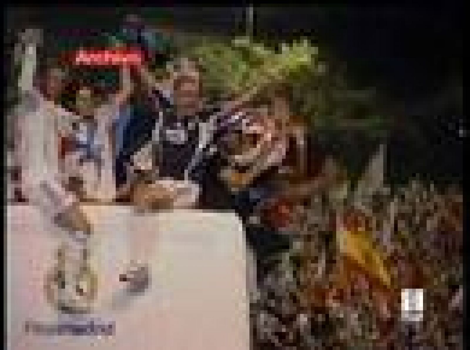 Sin programa: Los madridistas ya casi campeones | RTVE Play