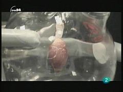 tres14 - Últimas noticias