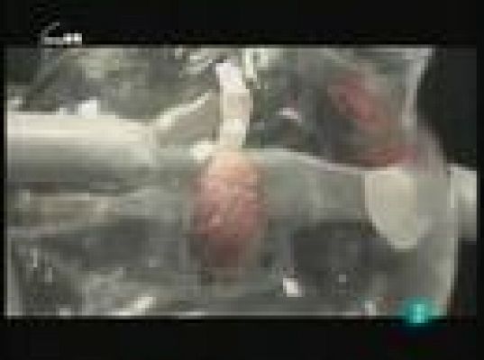 tres14 - Últimas noticias