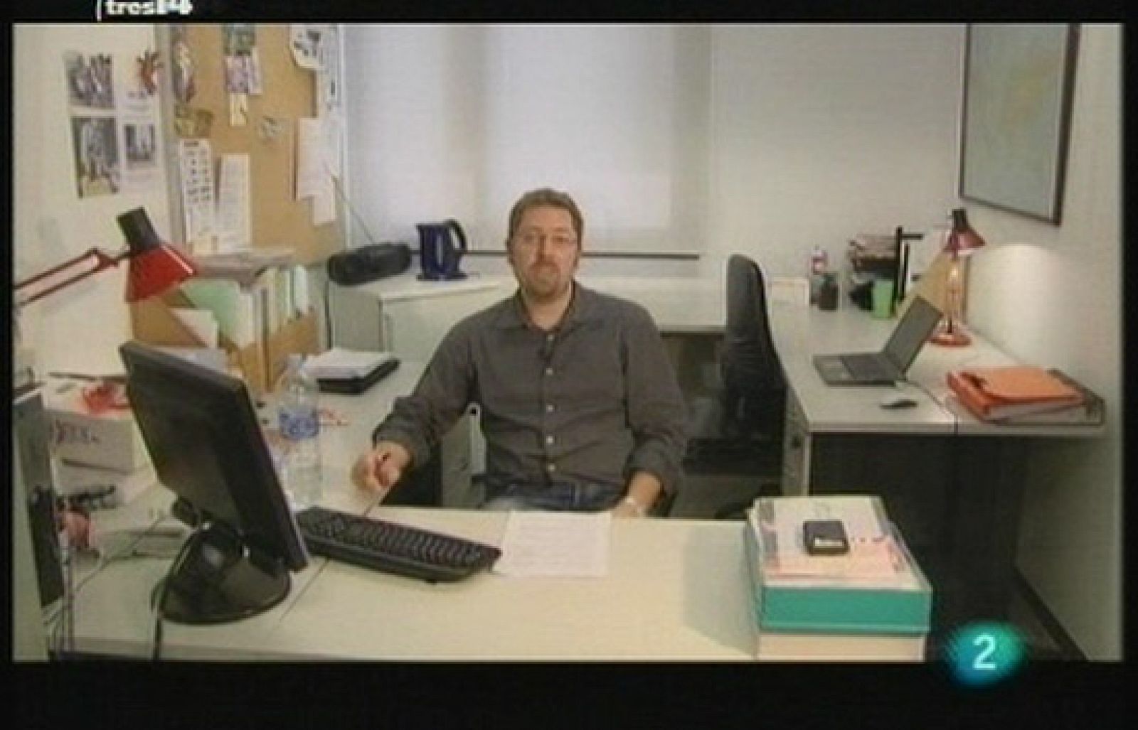 Hormigas en la red (En red)