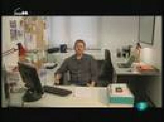 tres14 - Hormigas en la red