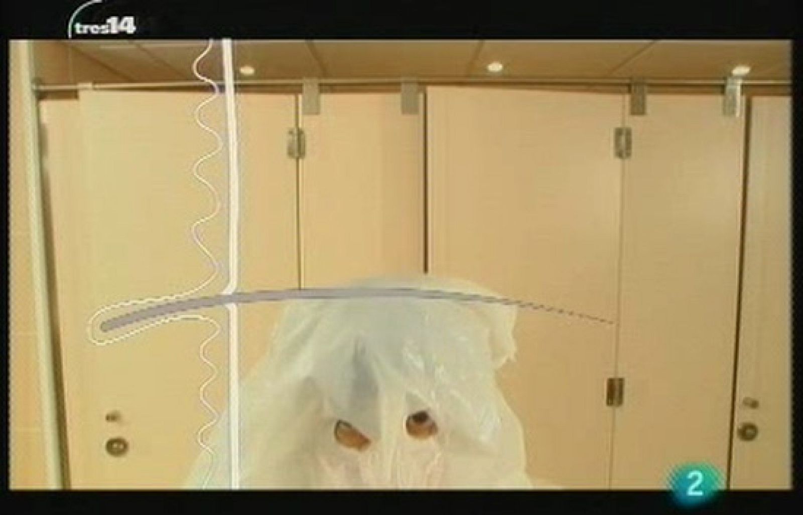 Curiosidades (En red)